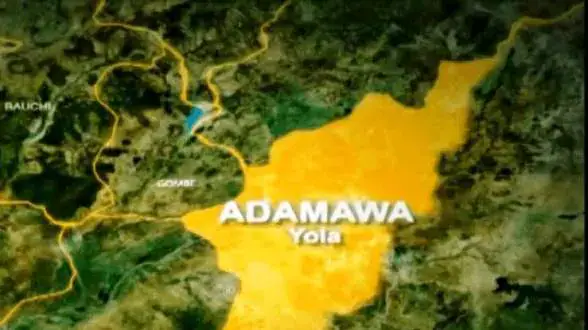 Peter Fwah and Adamawa South Senatorial Zone