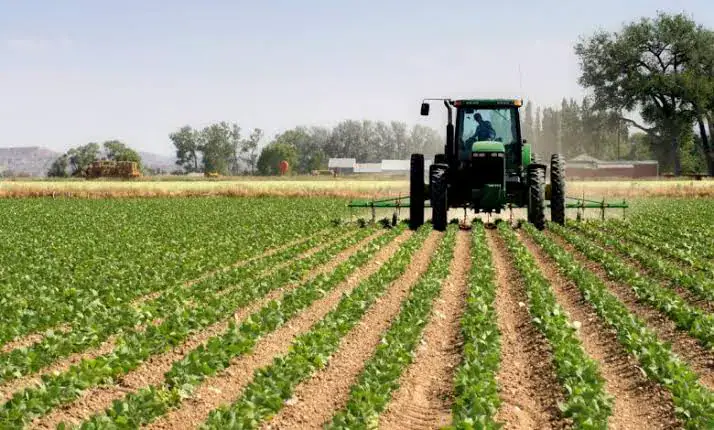 Tanzania Aims to Build $100 Billion Agricultural Economy by 2050