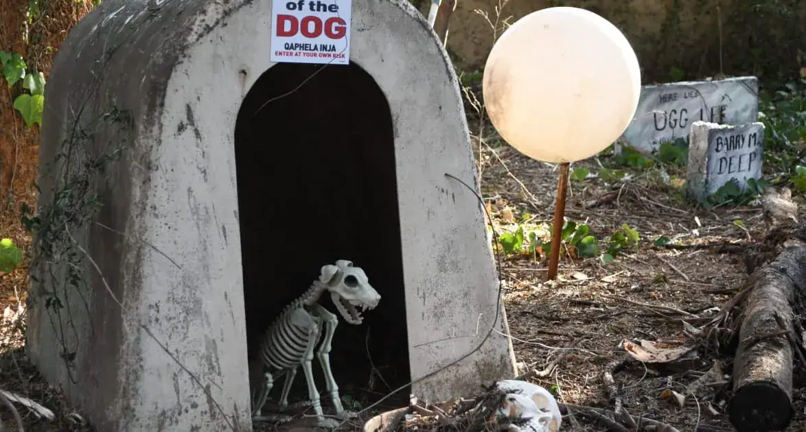 South Africans Embrace Halloween with Enthusiasm and Creativity