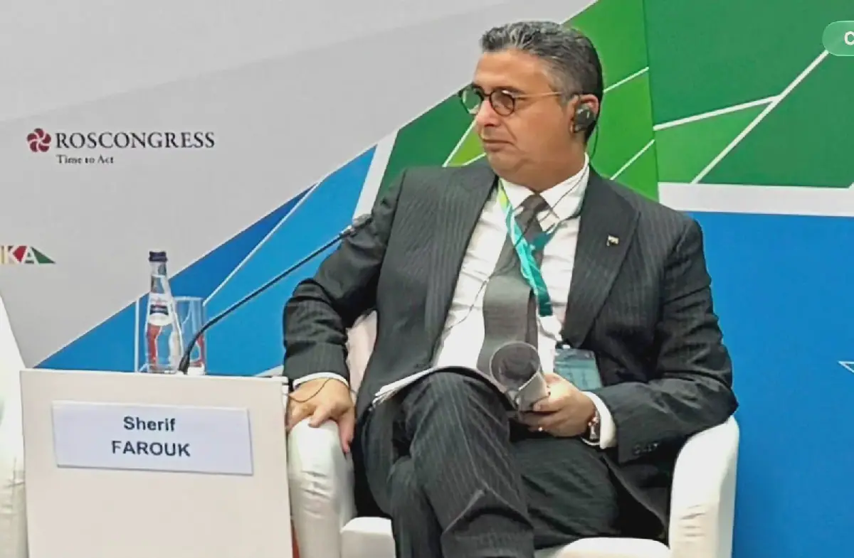 Egypt Explores Establishing Logistics Hub for Grains and Oils