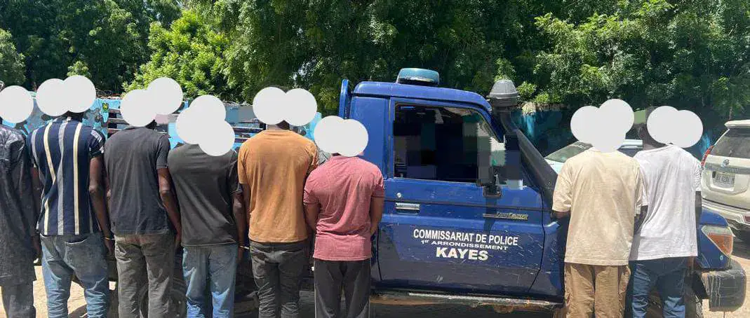 Mali Authorities Dismantle QNET-Affiliated Crime Ring in Kayes
