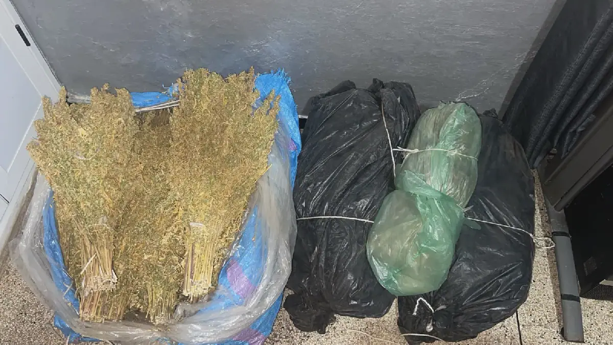 إقليم آسفي.. ضربة أمنية جديدة للدرك الملكي ببوكدرة تُسقط شخصين وتحجز أزيد من 200 كيلوغرام من الكيف