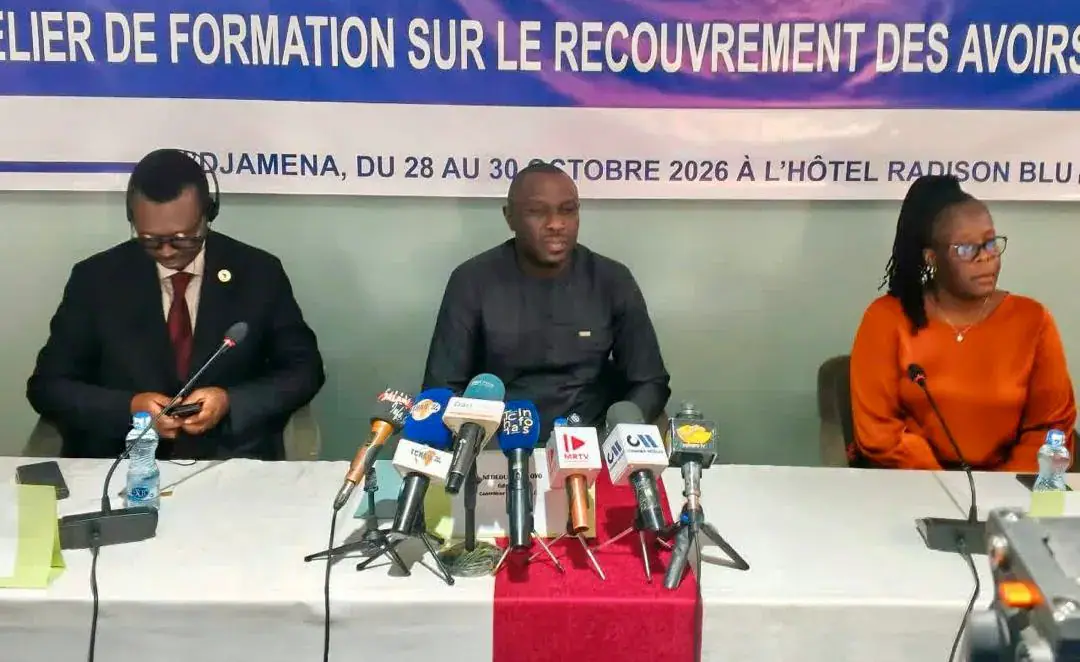 Chad Concludes Workshop on Asset Recovery