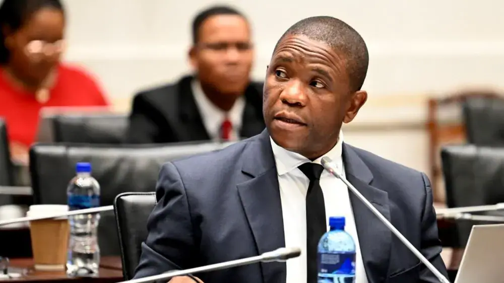 Mkhwanazi Proposed as New Hawks Head Amid Calls for Him to Lead SAPS