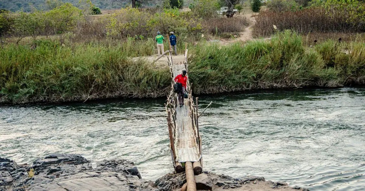 Residents near flooded Limpopo river build makeshift bridge
