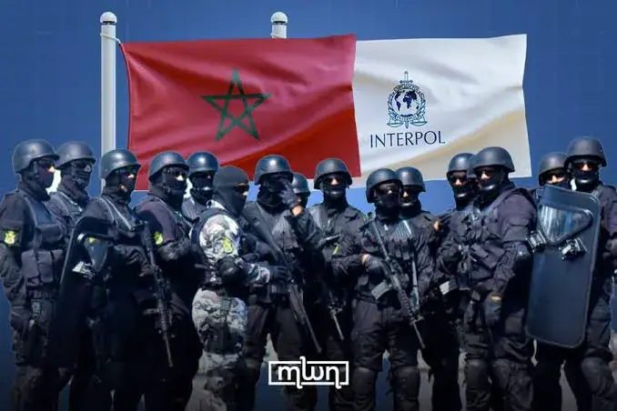 Morocco Reports 855 Arrests, Over 52,900 Information Requests Through Interpol Cooperation