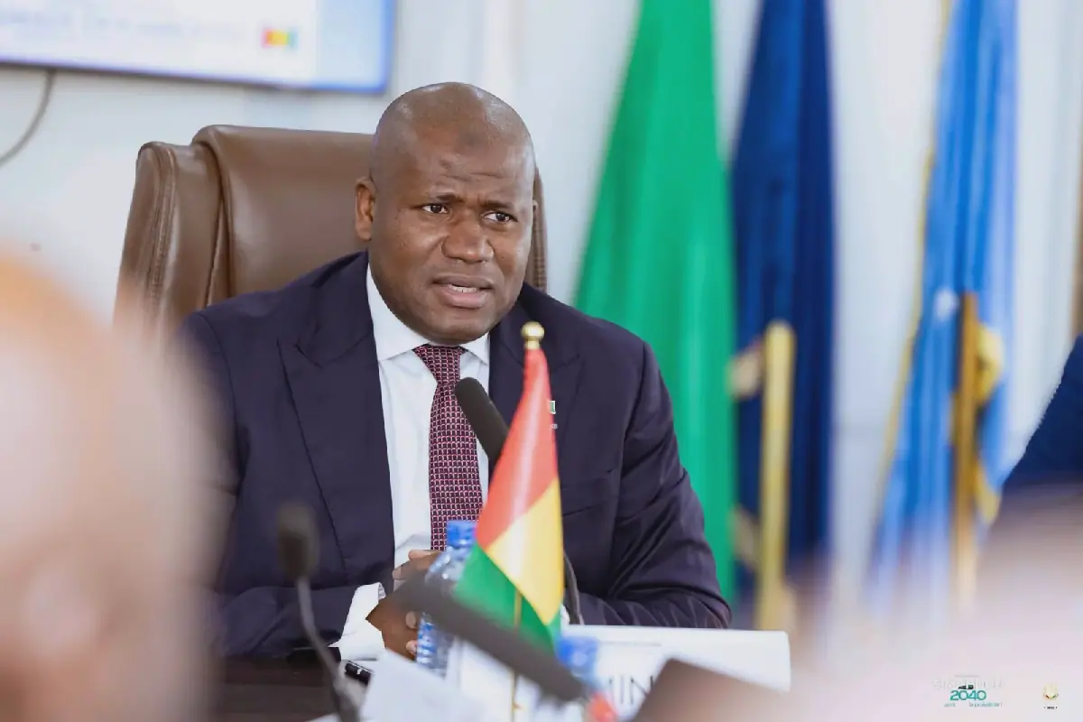 Guinea Accelerates Simandou 2040 Development Program