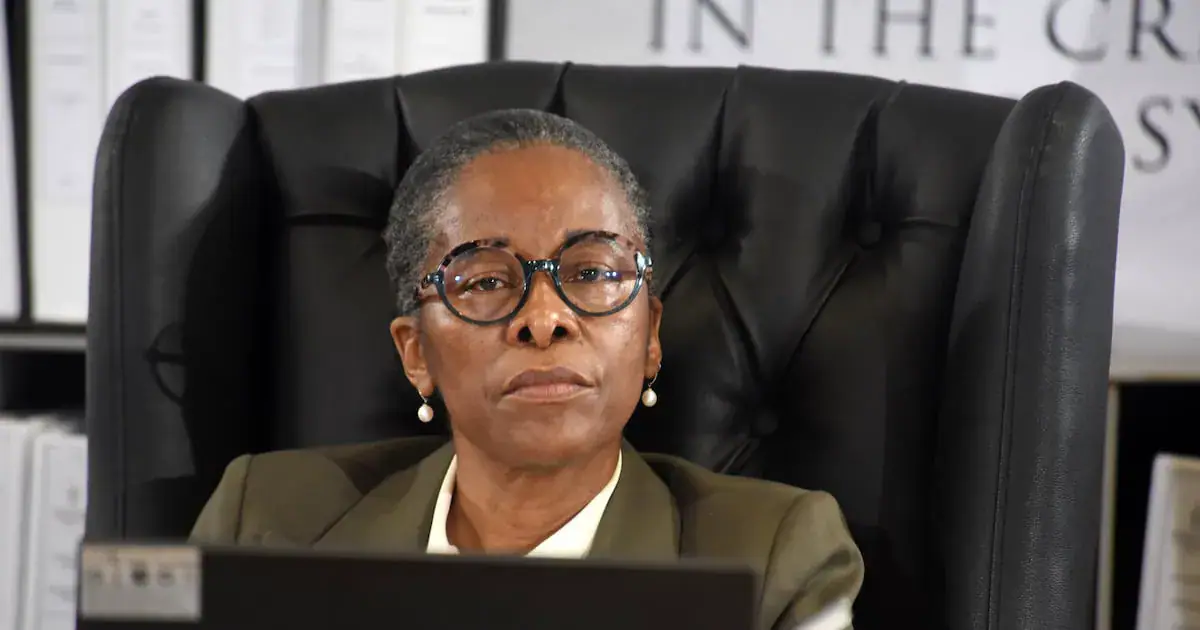 Madlanga Co-Commission Adv Sesi Baloyi. Picture: Freddy Mavunda © Business Day