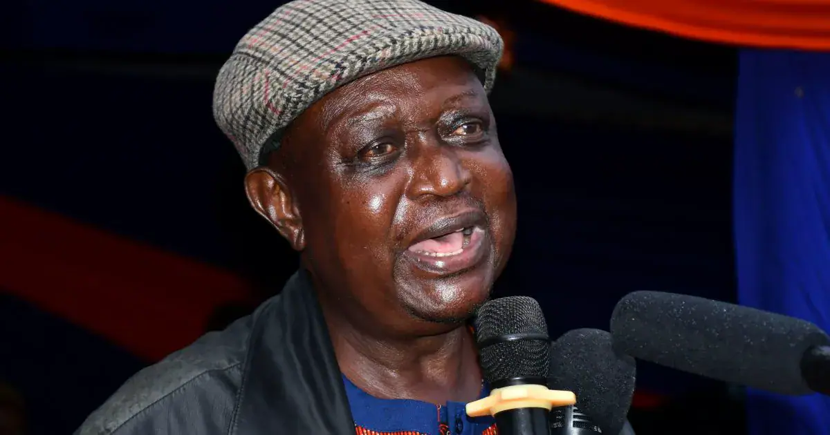 Oburu Oginga Warns Against External Interference in ODM-UDA Talks