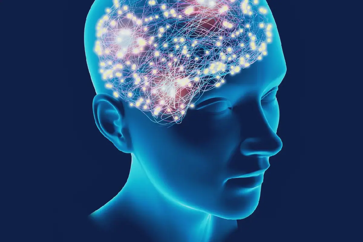 Trois chercheurs récompensés pour une méthode qui contrôle les neurones par la lumière