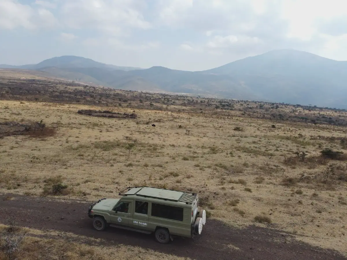 Safari Packing Essentials for Tanzania: Clothing, Gear, and Health
