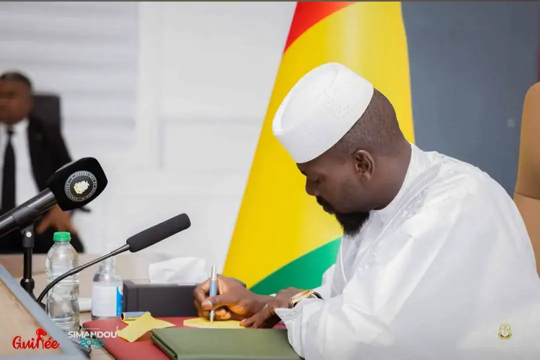 Guinea President Appoints New Officials to Ministry of Sanitation