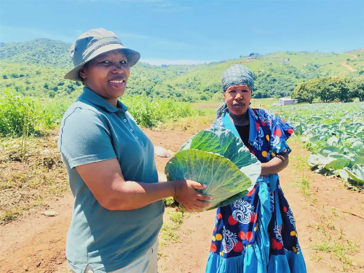 Sivusasizwe Agricultural Primary Co-Operative Cultivates Food Security, Jobs, and Hope in Rural KZN