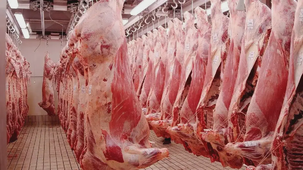 Tunisia Prepares for Eid Al-Adha 2027 by Restructuring Red Meat Sector