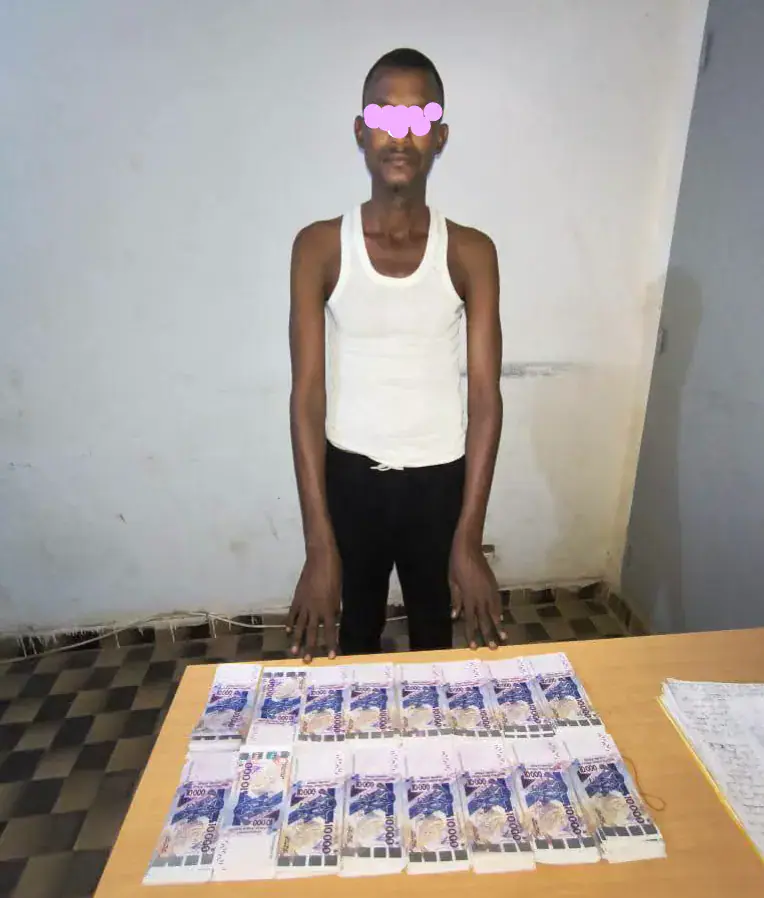 Over 6.5 Million CFA Francs in Counterfeit Banknotes Seized in Niger