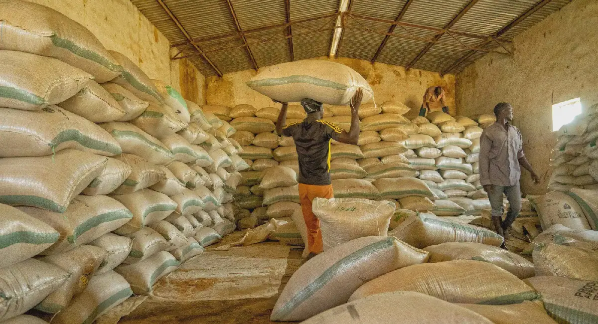 Financing Africa’s Food Systems: A $20 Million Fund Targets Agricultural Supply Chains