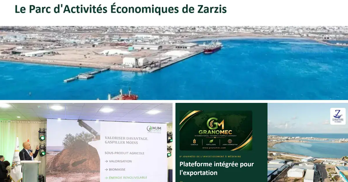 Tunisia Invests $213 Million in Economic Activities in Jerjis, Creating 190 Jobs