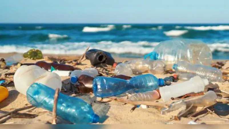 Tunisia Launches AI-Powered Database to Monitor Coastal Waste