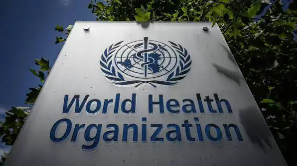 Seven Candidates in Race for WHO Director-General