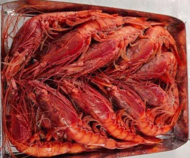 Tunisia Secures Increased Quota for Red Shrimp in Mediterranean