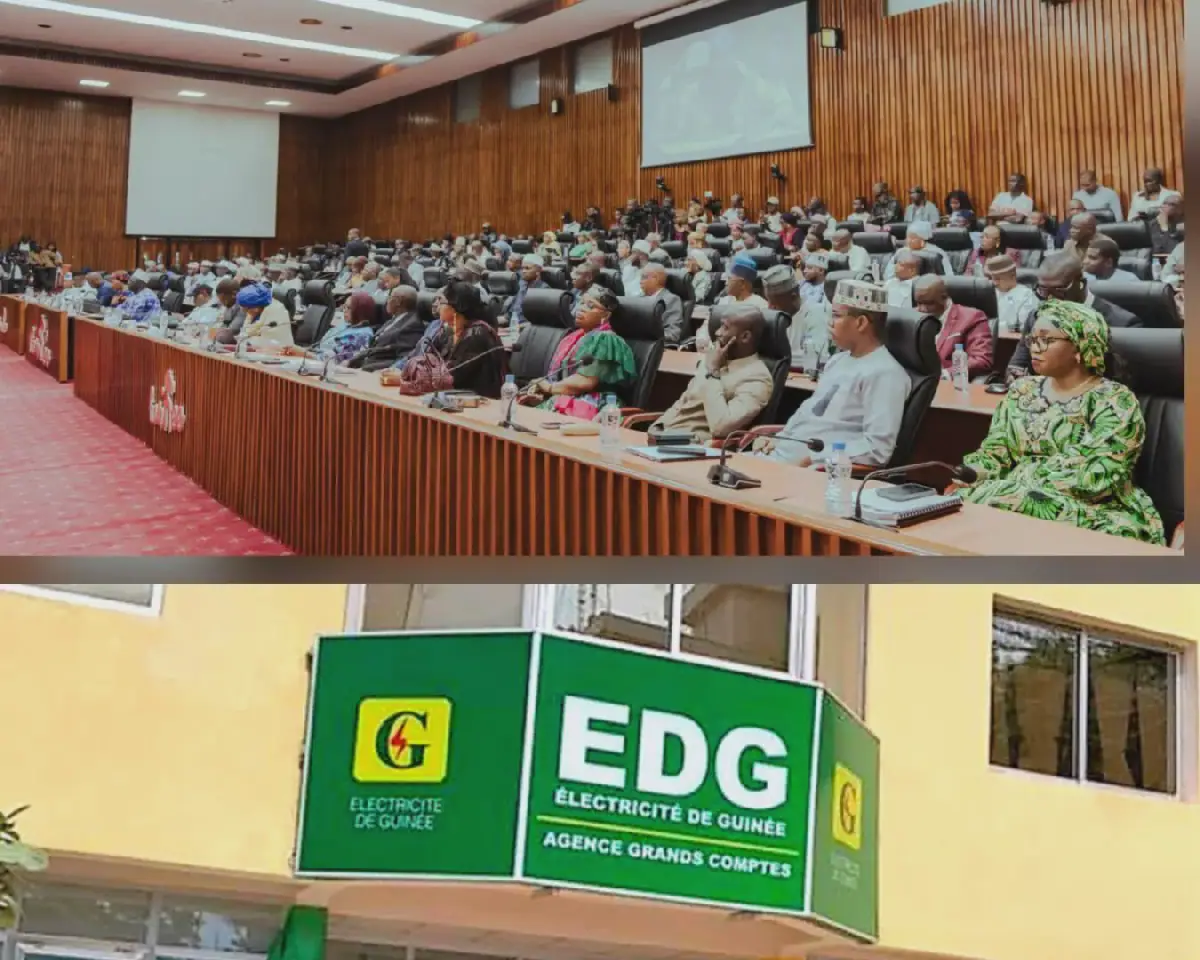 Difficulties at Guinea's EDG threaten $2.5 billion in expected state dividends