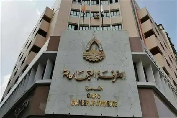 Egyptian Businessman Calls for Reduced Profit Margins to Ease Price Burden