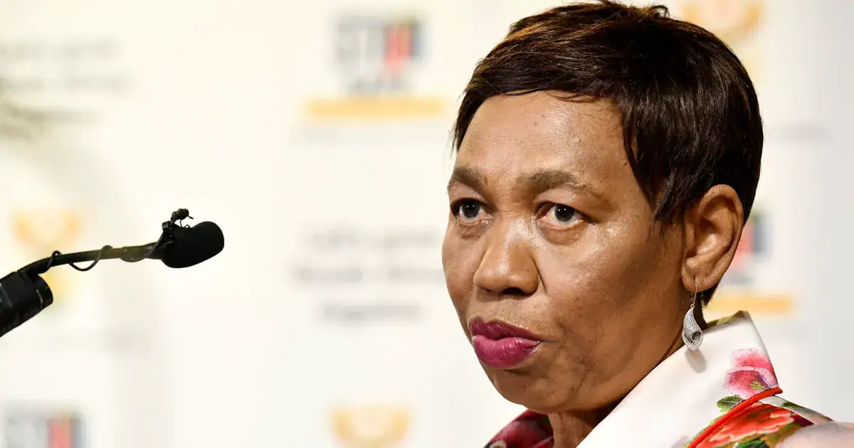 Defence Minister Warns Anti-Immigration Protests May Distract SANDF from Elections