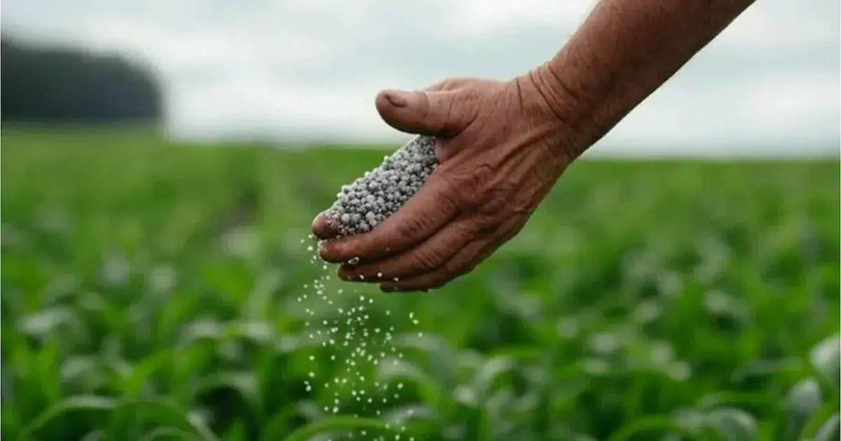 Algeria Eyes Fertilizer Exports to Bangladesh Amidst Growing Demand