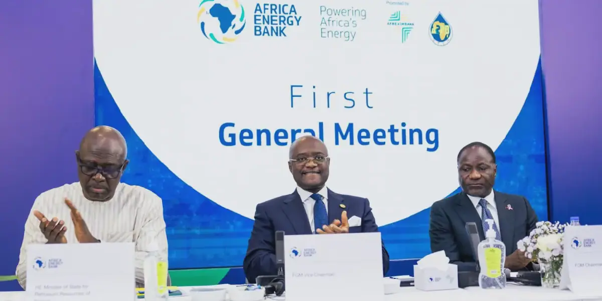 African institutions launch $5bn energy bank as Western lenders pull out