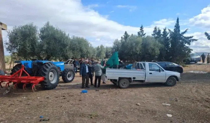Tunisia Recovers 47 Hectares of Agricultural Land and Over 4,800 Olive Trees