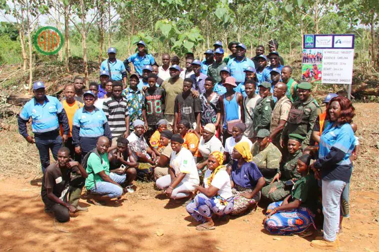 Côte d’Ivoire-AI / Un groupe minier et la fondation YeS plantent plus de 33 000 arbres dans la forêt classée de Sangoué