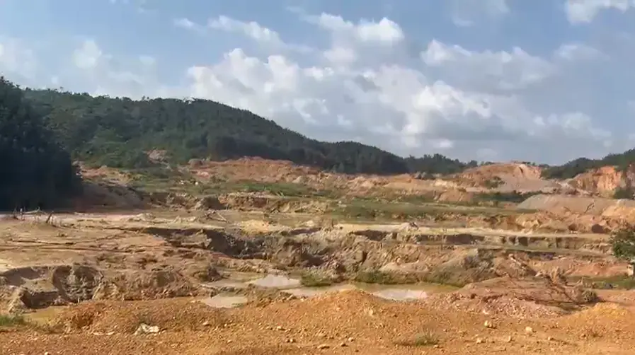 NAIMOS