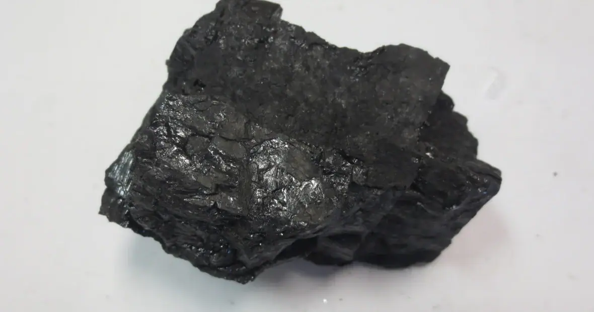 A bituminous coal sample on a pale background.