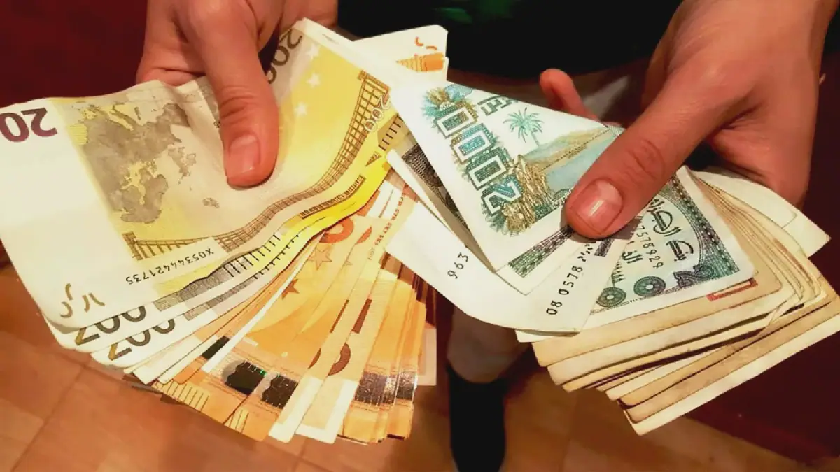 Algeria's Parallel Currency Market Sees Stability Ahead of November