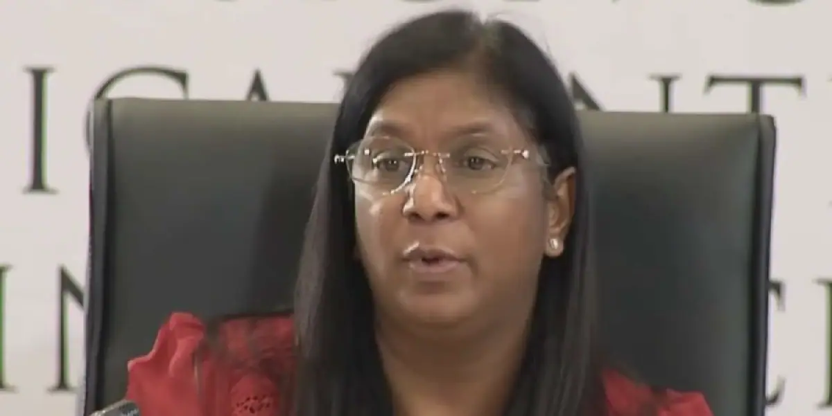 South African Parliament Chair Emphasizes Rule of Law Following Johnson and Khan's Arrest