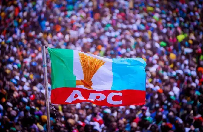 Flag of the All Progressives Congress (APC) party. Photo Source: Premium Times.