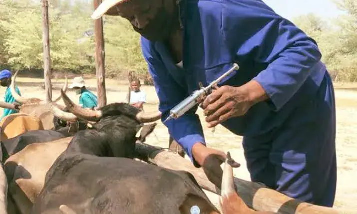 MPs say N$179m FMD funding not enough
