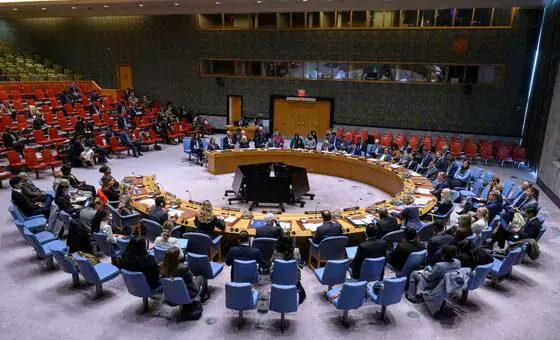 International Reactions to Russia's Veto on US Resolution for Western Sahara