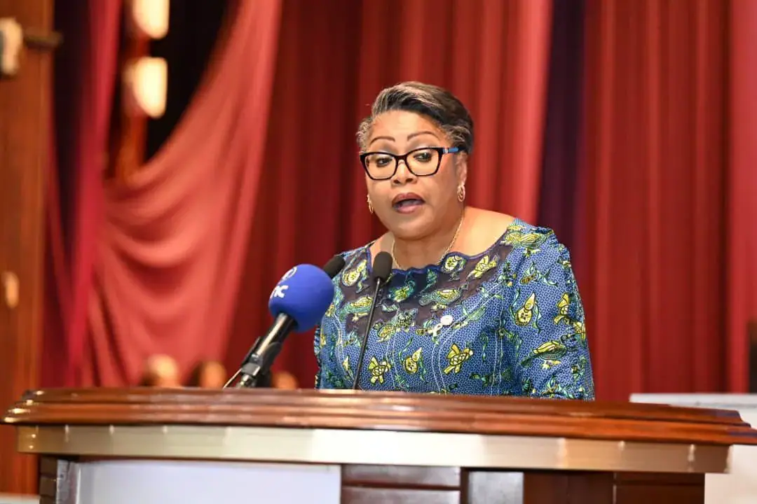 RDC-Assemblée Nationale : le projet de loi des finances 2027 déclaré recevable