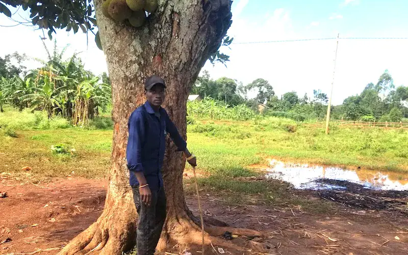 Lightning strike kills two sugarcane loaders in Jinja