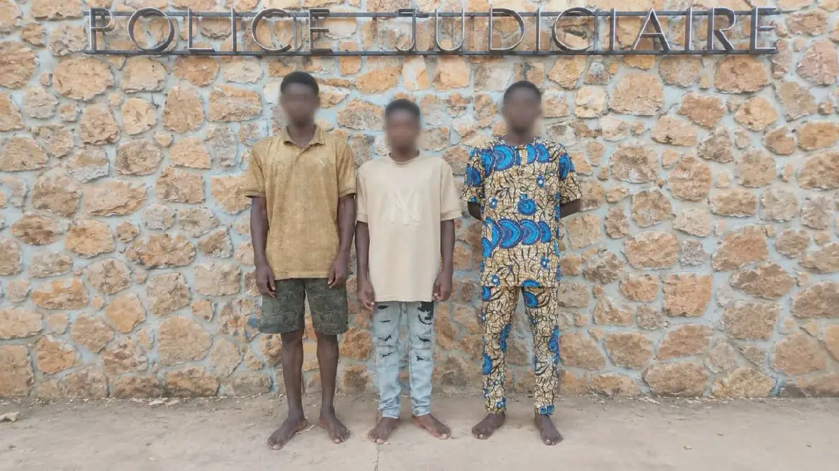 Three Beninese Nationals Arrested in Niger for Alleged Online Scam