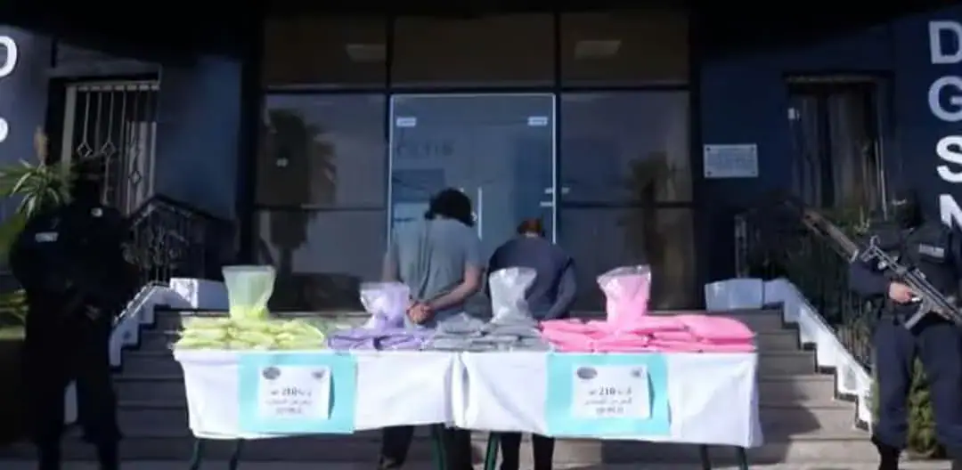 Algerian Authorities Seize 210,000 Ecstasy Tablets at Port
