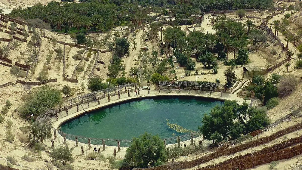 Nefta, Tunisia Blooms into a Vibrant Tourist Destination