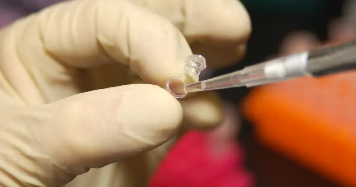 Gloved hand holding a micro test tube while a pipette transfers liquid in a laboratory.