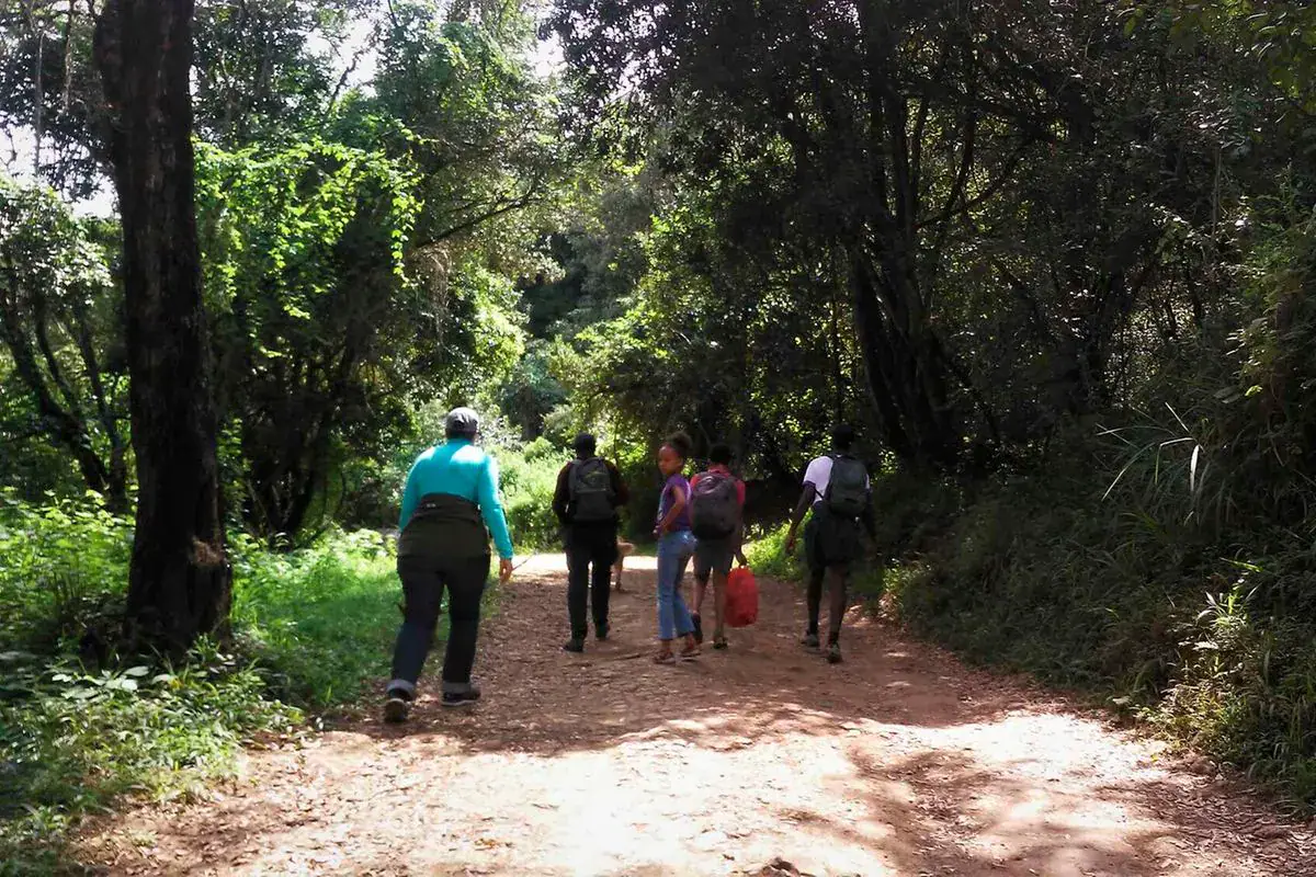 Community Group Plans Dinosaur-Themed Lodge in Oloolua Forest
