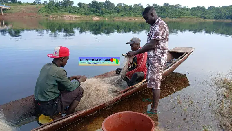 Pêcheurs et vendeurs de poissons de Kinfaya luttent contre le manque d'électricité et de moyens financiers