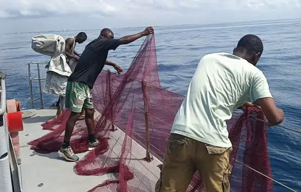 Côte d'Ivoire Launches Operation NEMO 2026 to Combat Illegal Fishing