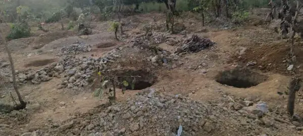 Six Men Caught in Illegal Gold Mining in Côte d'Ivoire's Loho Forest