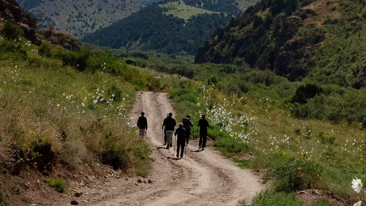Hiking in Algeria Becomes a Booming Industry for Tour Operators and Guides