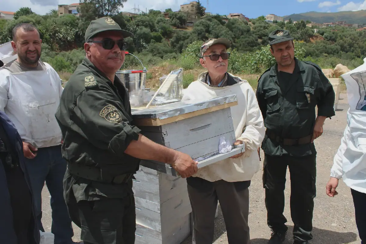 Algeria's Bejaia Province Launches Apiculture Development Program with 8,400 Beehives